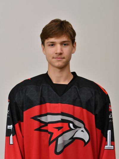 Лабацеев  Лев  Сергеевич
