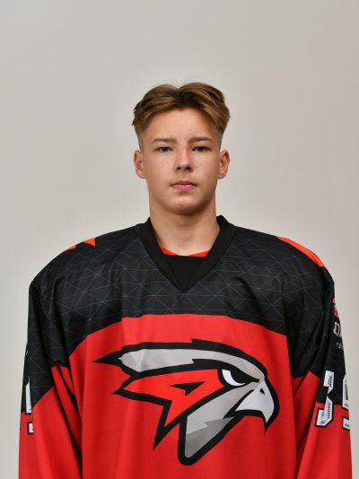 Муравьев  Клим  Александрович