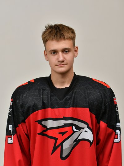 Шестаков  Демид  Дмитриевич