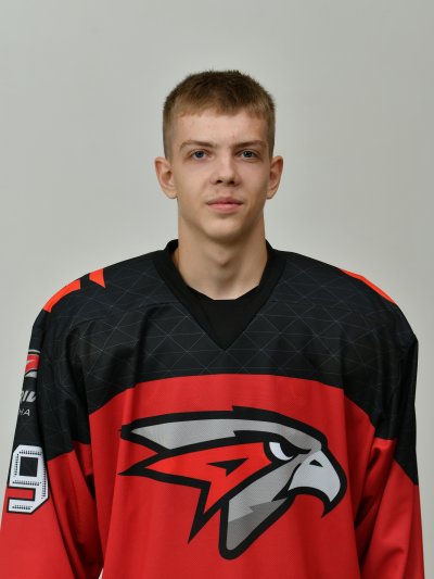 Лексиков  Дмитрий  Сергеевич