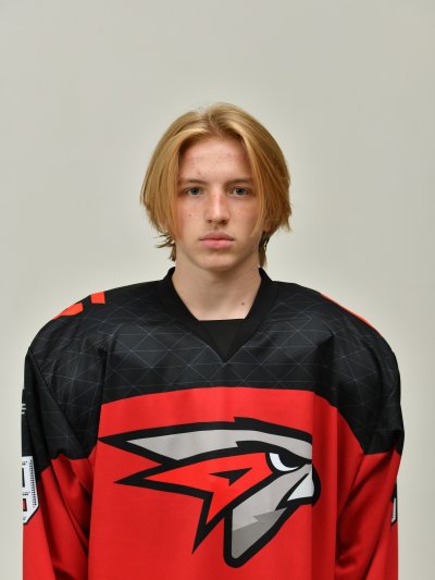 Синикин  Никита  Михайлович
