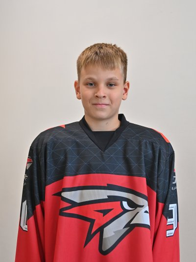 Полонский Владимир Витальевич