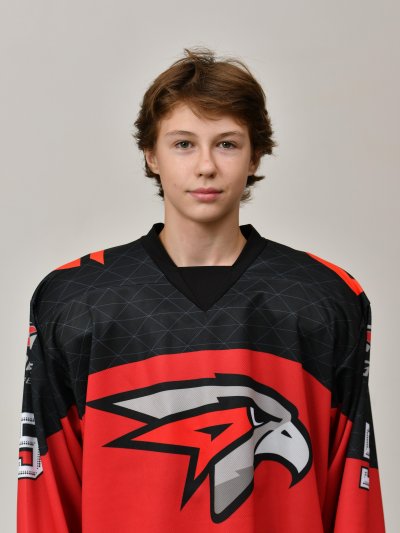 Борзых  Владимир  Владимирович