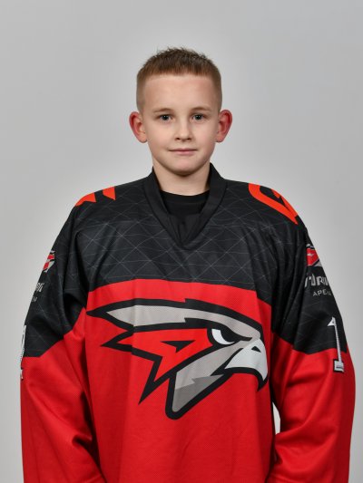 Ламбин  Ярослав  Анатольевич