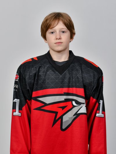 Никишин  Дмитрий  Сергеевич