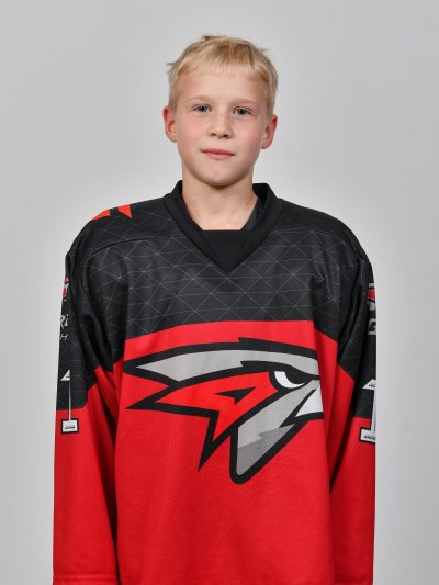 Приходько  Алексей  Александрович