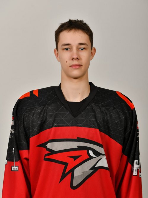 Панин  Андрей  Романович