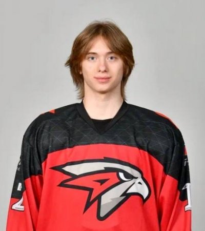 КОСТИН  ВЛАДИМИР  АЛЕКСАНДРОВИЧ