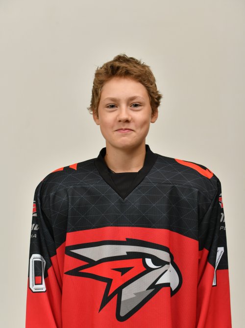 Ефименко  Александр  Александрович