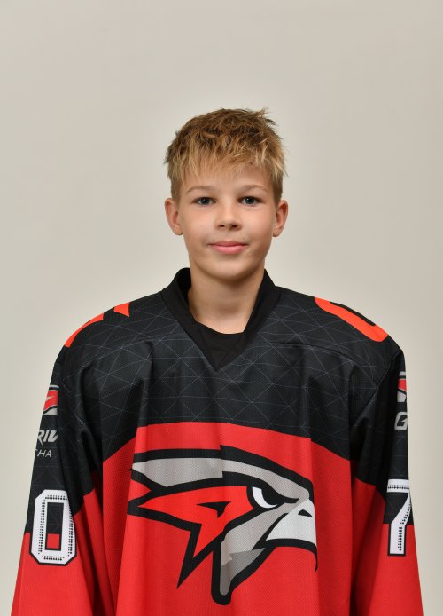 Литвинов  Иван  Антонович