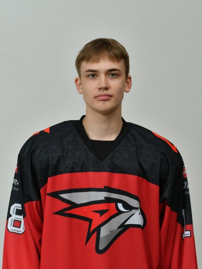 Ажнакин  Николай  Александрович